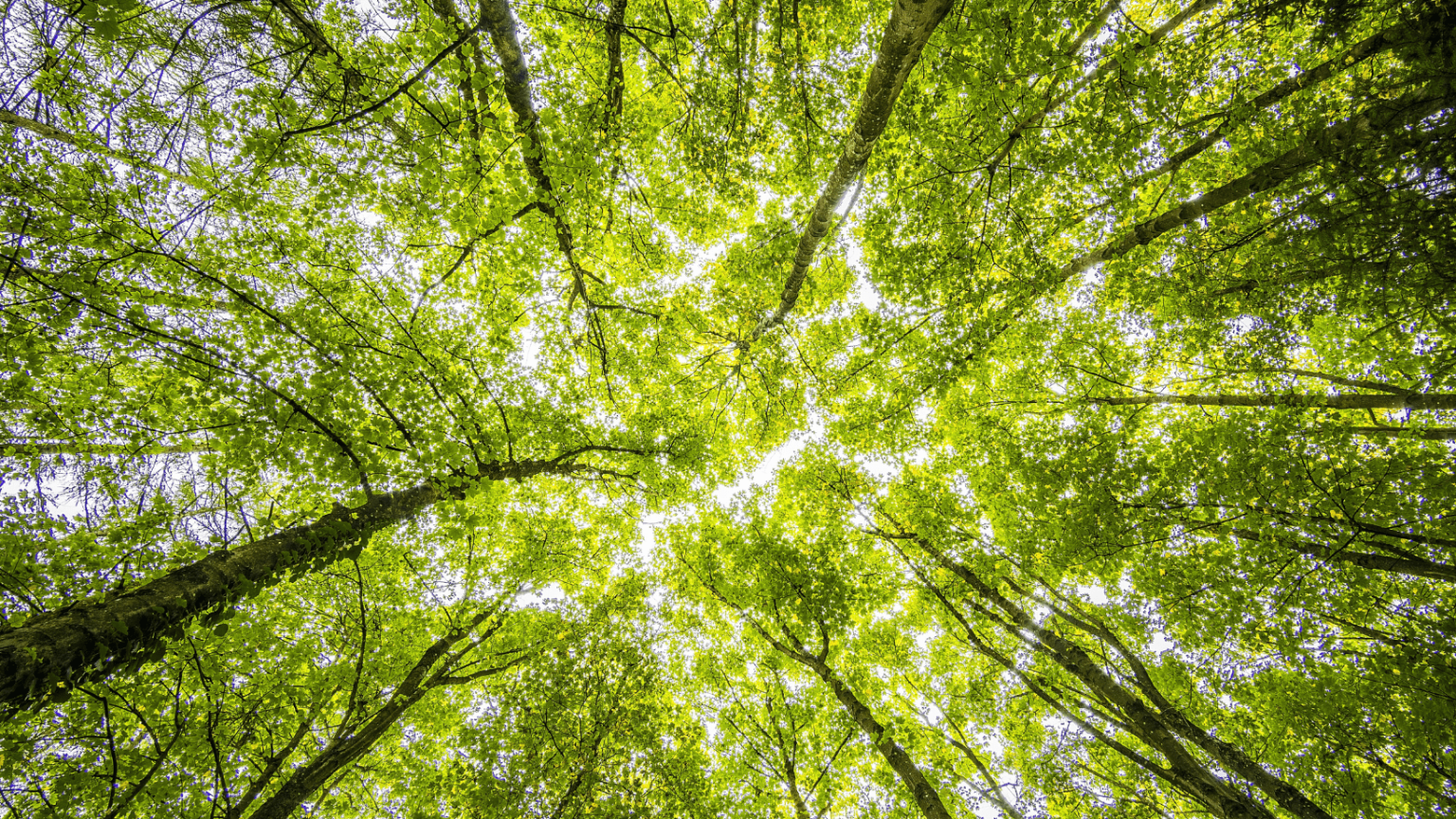 book sustainability