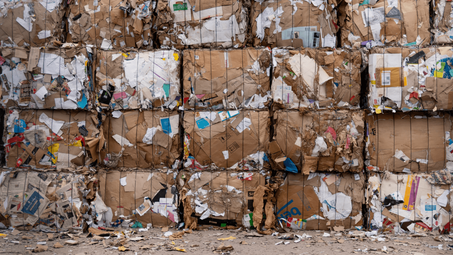 recycle used books